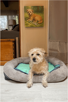 Pet Parent Gallery 1