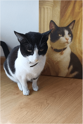 Pet Parent Gallery 4